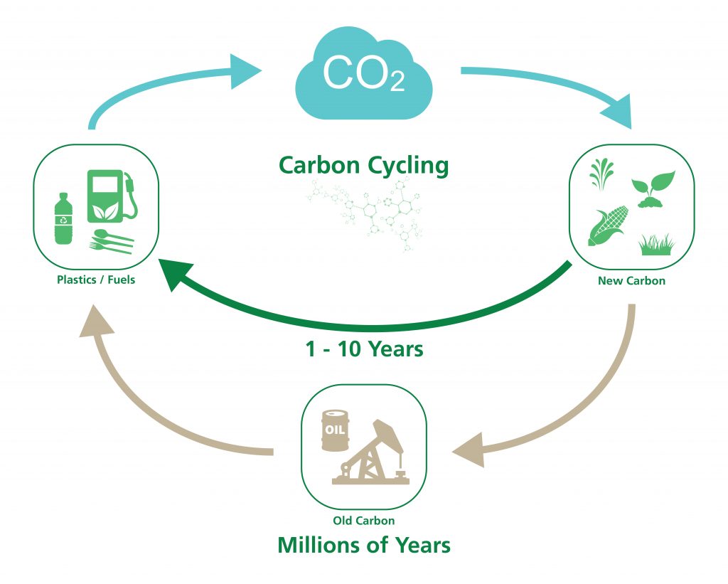 Bioplastics 101. Carbon cycling model.