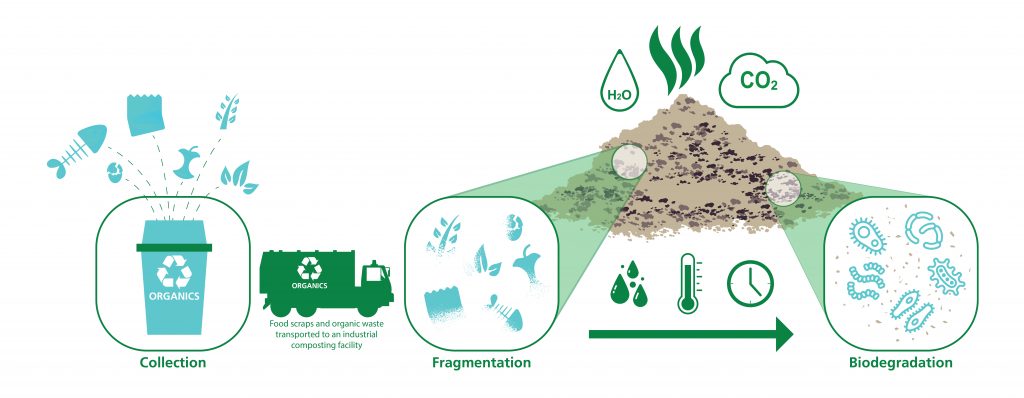 Bioplastics 101. The process of biodegradation.