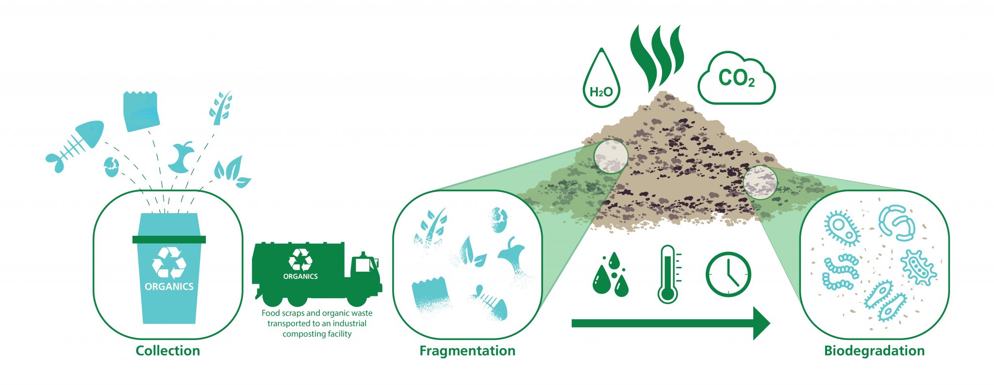 Biodegradation Animation Bioplastics 101 | Learn About Bioplastics - Information from the Experts