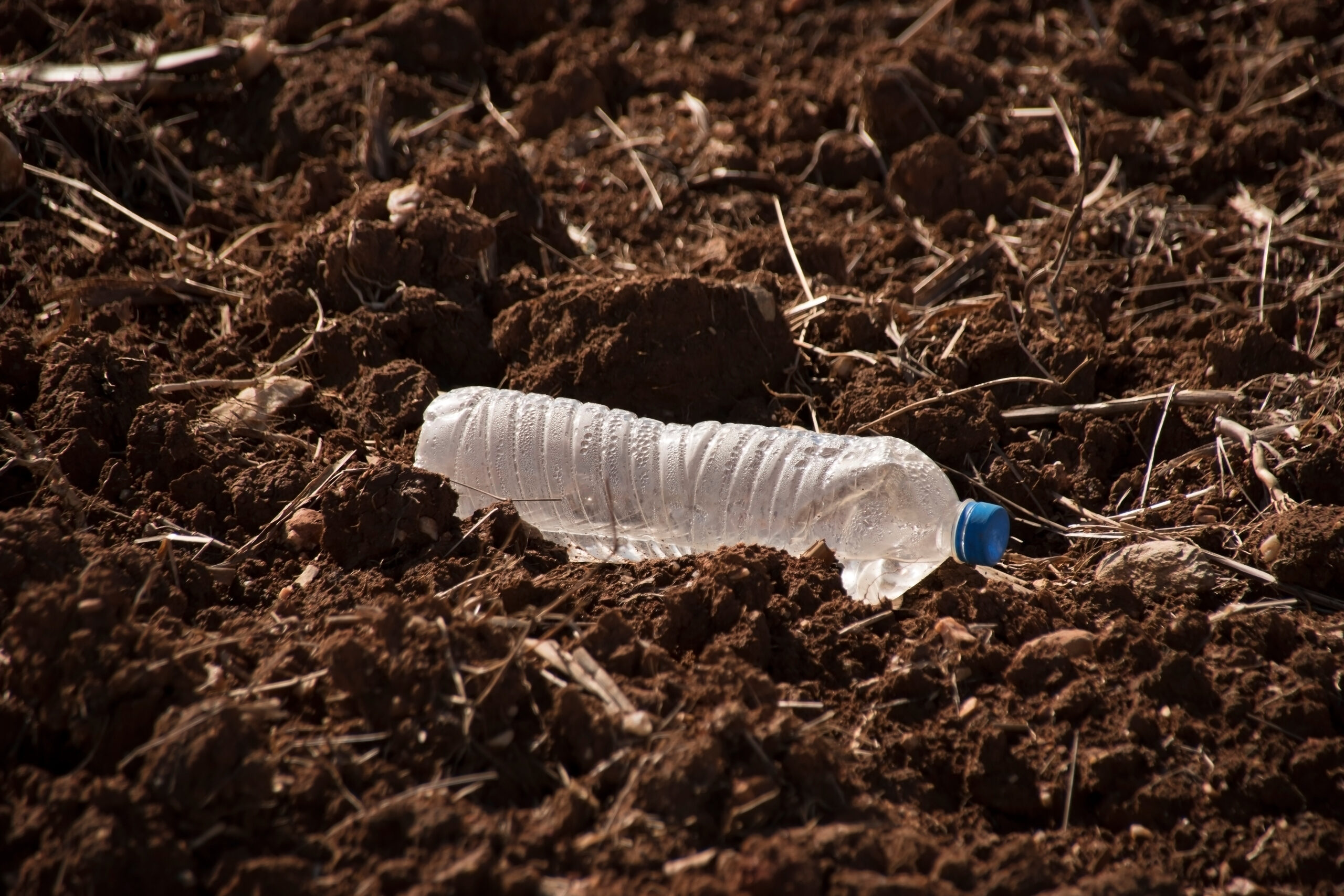 Dumped plastic bottle in field