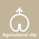 ag clip 2_txt