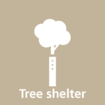 tree shelter_txt